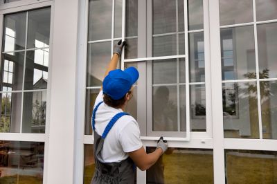 Window Replacement Experts