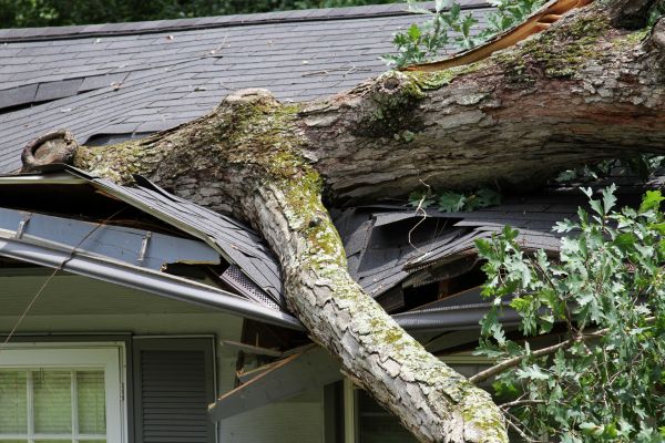 Storm Remediation in Acworth