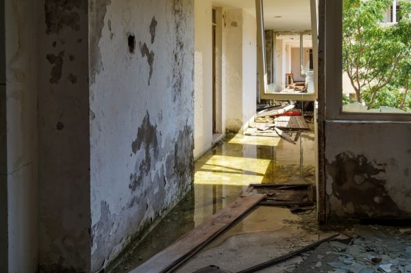Water Removal Service