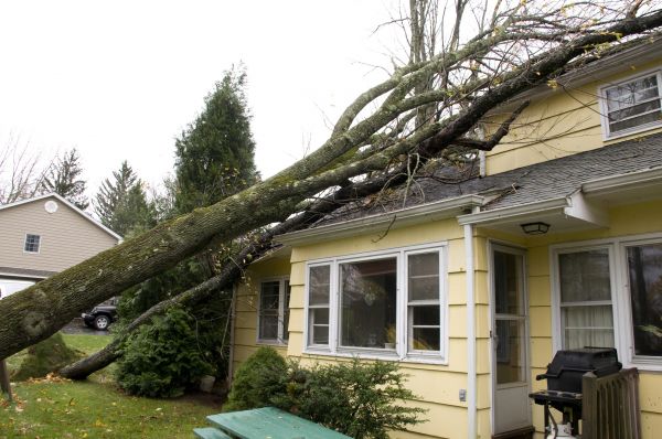 Storm Damage Mitigation in Acworth